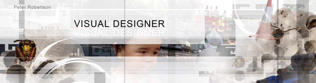 Peter Robertson - Visual Designer